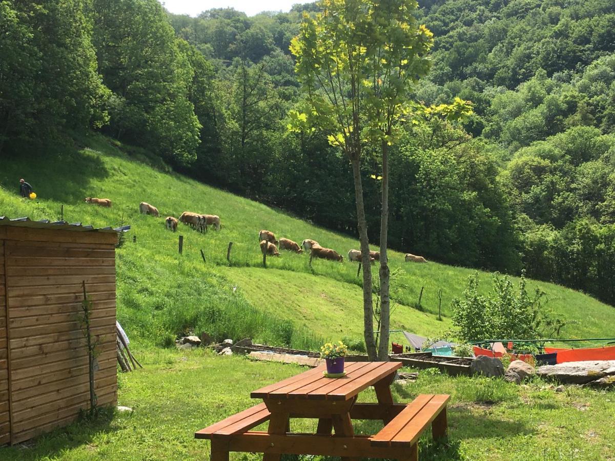 Chambres D'Hotes Le Lepadou-Bas Saint-Chély-dʼAubrac Dış mekan fotoğraf