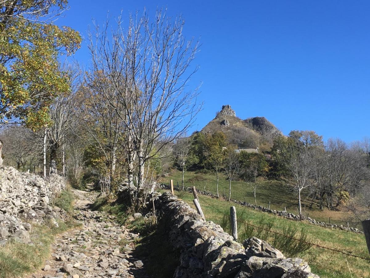 Chambres D'Hotes Le Lepadou-Bas Saint-Chély-dʼAubrac Dış mekan fotoğraf