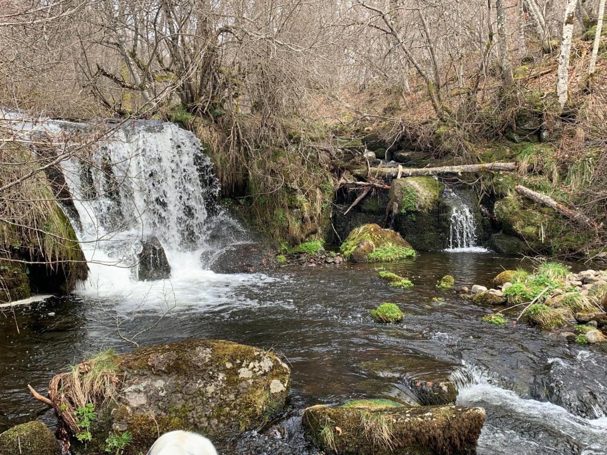 Chambres D'Hotes Le Lepadou-Bas Saint-Chély-dʼAubrac Dış mekan fotoğraf