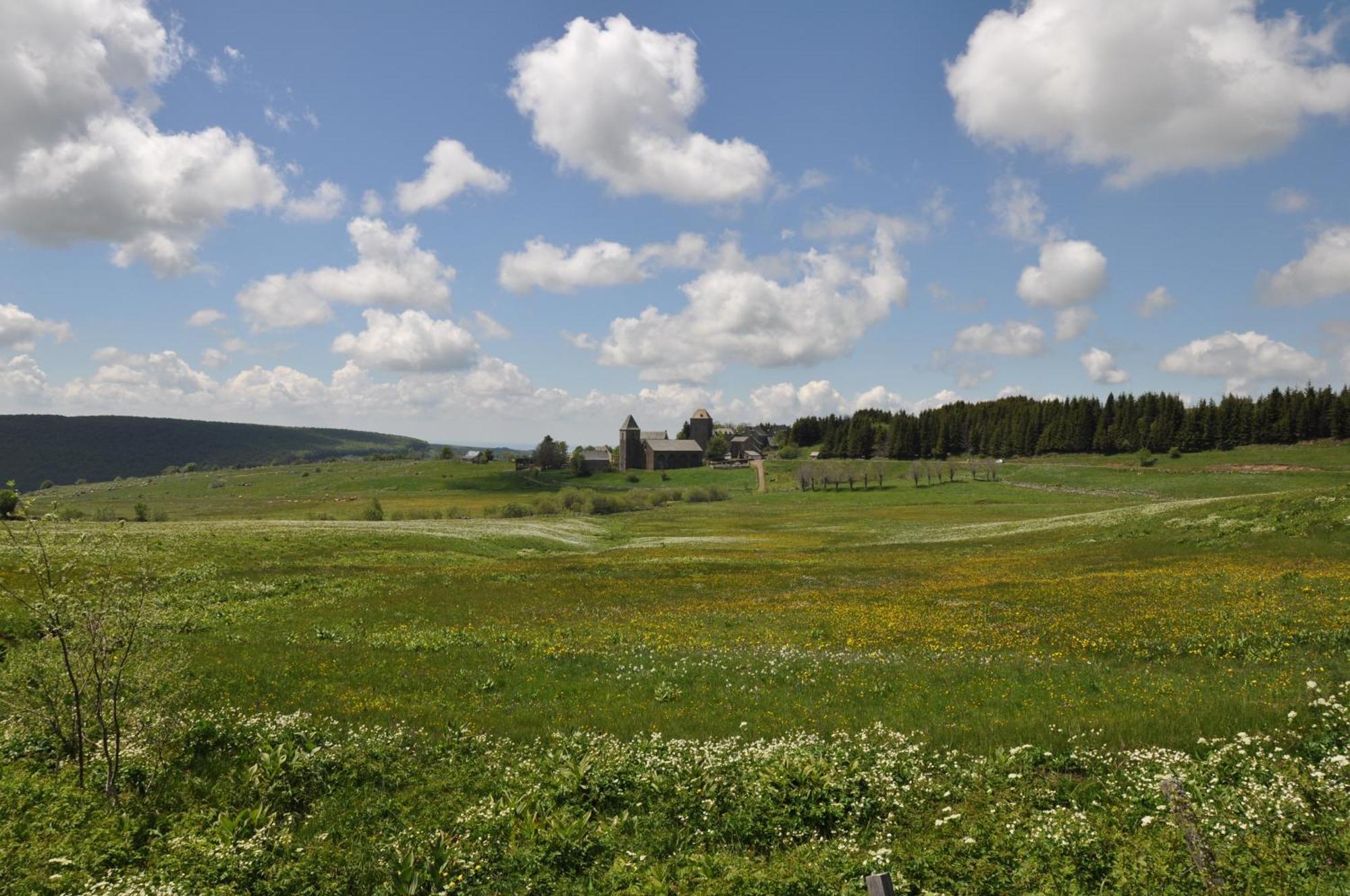 Chambres D'Hotes Le Lepadou-Bas Saint-Chély-dʼAubrac Dış mekan fotoğraf
